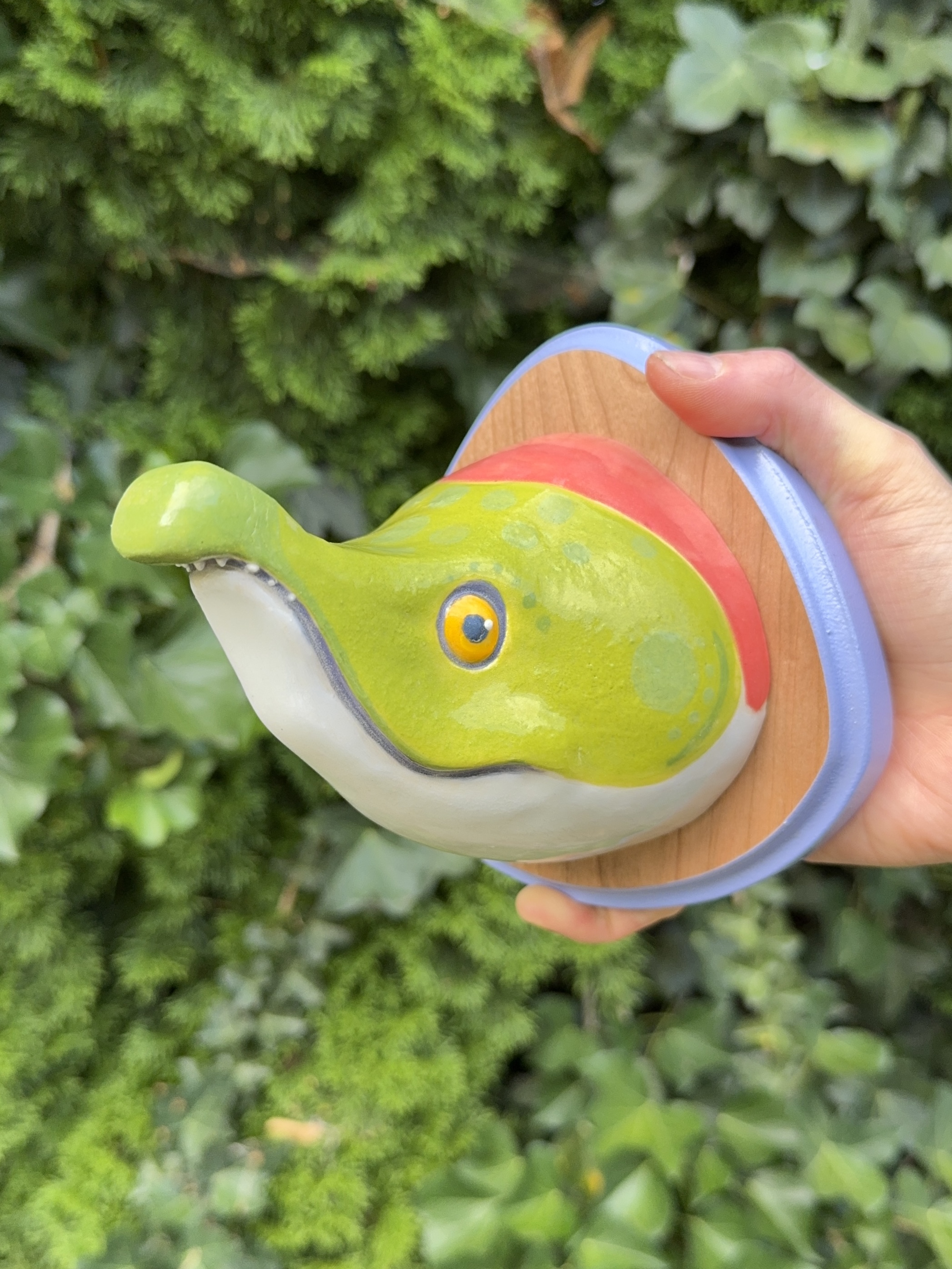 “Salmon, RUN!!” Mounted Head Fred